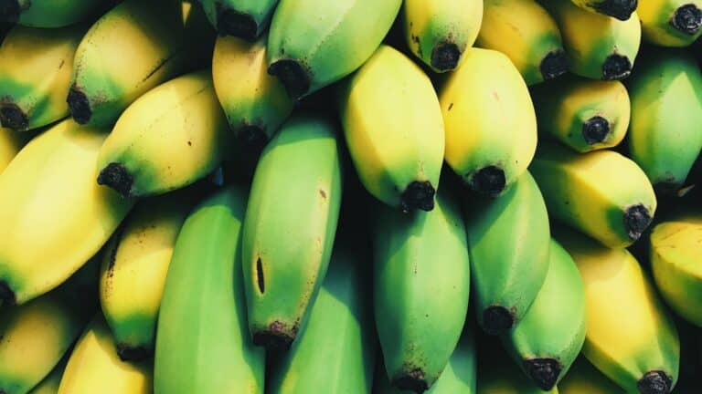 bananas